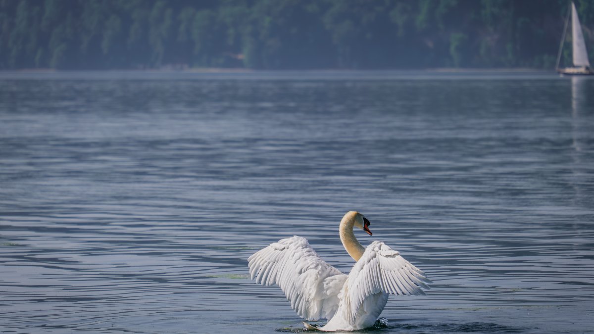 Beetzsee Run